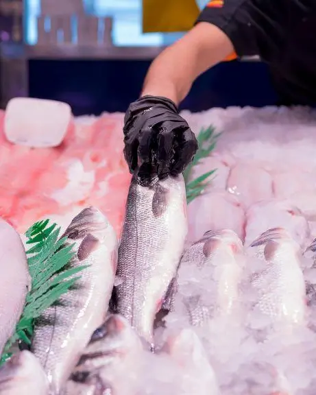 Ouvrier en poissonnerie (H/F)