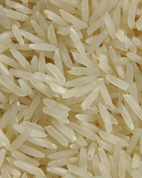 Préparateur riz (H/F)