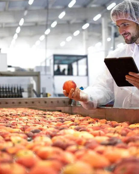 Agent de production agroalimentaire (H/F)