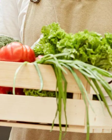 Cook for collective catering (M/F)