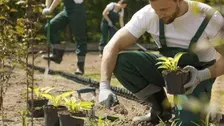 Chef d'équipe en paysagisme (F/H)