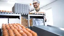 Pâtissier (H/F)