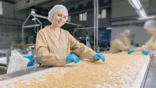 Ouvrier agro alimentaire (H/F)