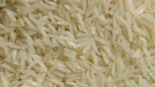 Préparateur riz (H/F)