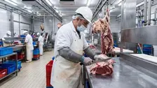 Boucher industriel (H/F)