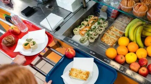 Cuisinier (H/F)